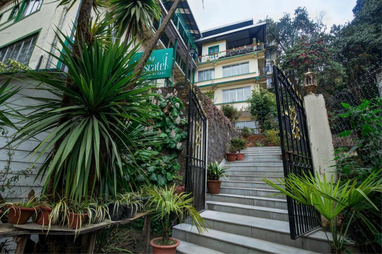 Muscatel Himalayan Resort Darjeeling  Bagian luar foto