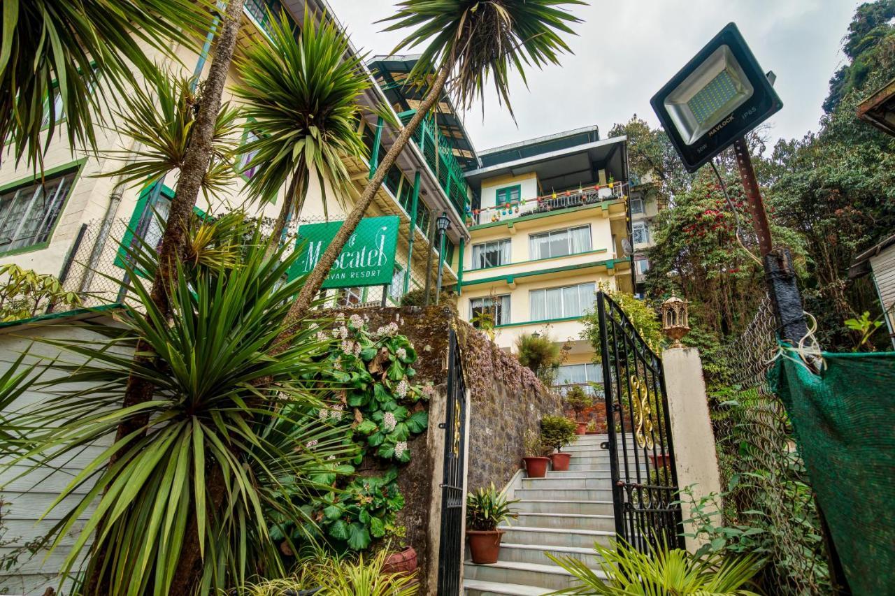 Muscatel Himalayan Resort Darjeeling  Bagian luar foto